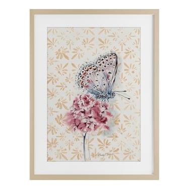 Imagem de Stupell Industries Borboleta e flor sobre estampa de bétula emoldurada sob vidro, design por Cady Driver, 20 x 14