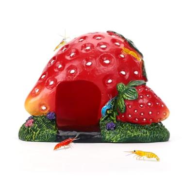 Imagem de Hygger CO2 Decorações de aquário multiestilo, ornamentos de aquário de resina natural para água doce e salgada (não para tanques de coral), esconderijos seguros para peixes Betta, camarão, peixes