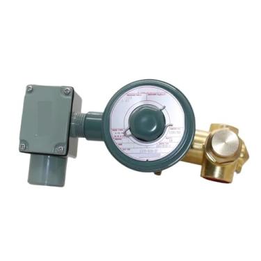 Imagem de Válvula solenoide à prova de explosão X200-926-2F AC120V K021810-1