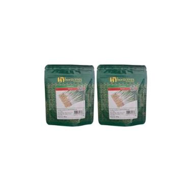 Imagem de 2 Unid. Cebolinha Ibirité 100g Alta Capacidade Perfilhamento Resistênc