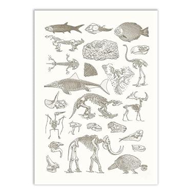 Imagem de Placa Decorativa Dinossauros Fosseis Paleontologia Poster