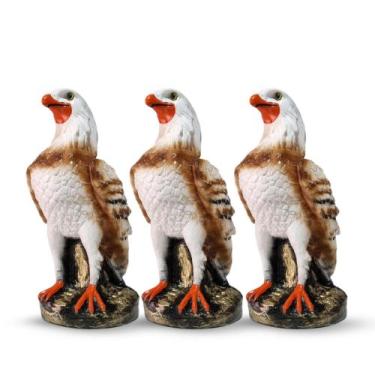 Imagem de Kit 3 Pçs Gavião Águia Espanta Pombos Maritacas Envernizado Exclusivo 