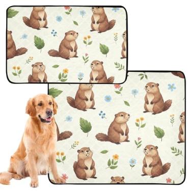 Imagem de Cute Groundhogs Tapete de xixi lavável para cães de estimação floral bege à prova d'água Tapete de cercadinho para cães reutilizável, absorvente para cães, médio + grande, conjunto de 2