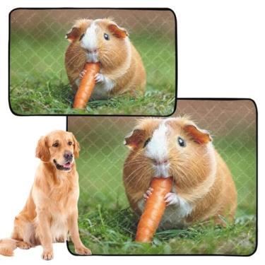 Imagem de Almofadas de xixi laváveis para cães e gatos, almofada reutilizável para animais de estimação, cobaia, cenoura, absorvente para cães, tapete de penico impermeável, fofo, médio + grande, conjunto de 2