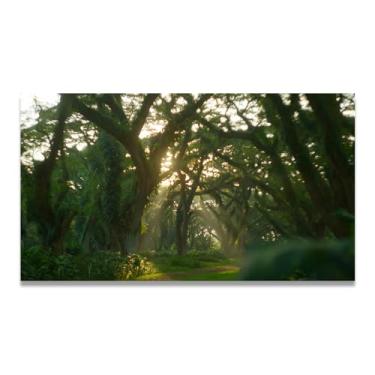 Imagem de LKXGRRSFG Sunlight Traz VitalidadeFoto Real Cidade Mar Neve Vale Grassland Rio Pôr do Sol Nascer do Sol Impressão em Tela Decoração de Parede 39,9 x 72 cm Sem Moldura