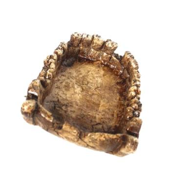 Imagem de Generic Réptil alimentação de água Bath Bath Bath Aquário Ornamento Resina Terrarium Plate Simulation Shape da mandíbula de dinossauros para lagartos