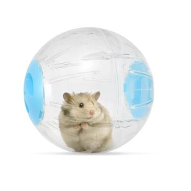 Imagem de Bola de hamster de 30,5 cm com pista – bola de exercícios para hamsters – ratos gerbils e outros animais de estimação pequenos incentiva atividades divertidas e saudáveis para