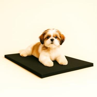 Imagem de Colchonete Impermeável para Cães, 70x50cm, Espuma Compacta, Capa Removível, Multicolorido, Uso Interno e Externo (preto)