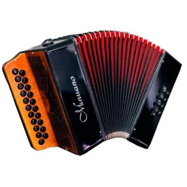 Imagem de ACORDEON MINUANO 8 BAIXOS 8/21 Com Bag, Preto