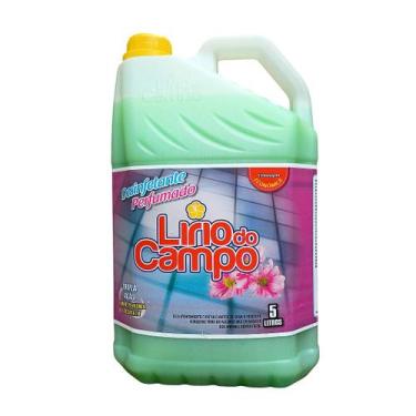 Imagem de Desinfetante Pindorama 5 Litros - Limpa+ - Taq Limp
