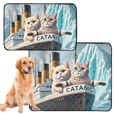 Imagem de Cute Cats Titanic Kitten Almofadas laváveis para cães pequeninos para animais de estimação, gatos, filhotes, tapete de treinamento à prova de vazamento, impermeável, para cães, pequeno, pacote com 3