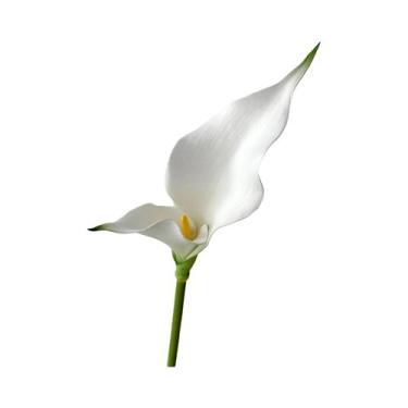 Imagem de Arranjo De Flores Artificiais Em Forma De Ferradura De Lótus, Buquê Fa