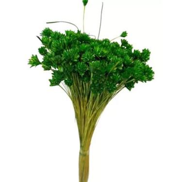 Imagem de Buque Flor Espeta Nariz Verde Desidratado Arranjos Decor - FLORA FULL