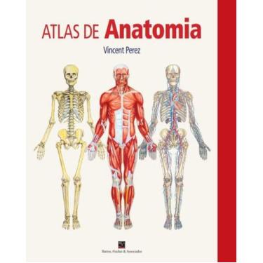 Imagem de Livro - Atlas de Anatomia - RESUMÃO