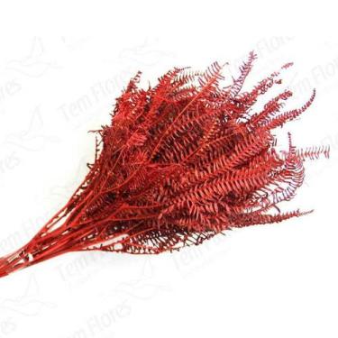 Imagem de Samambaia Tres Andares Vermelho Flor Buque Flores Secas - Tem Flores
