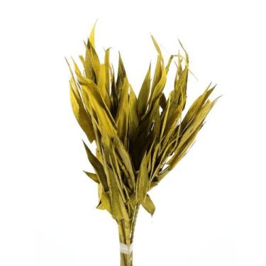 Imagem de Capim Navalha Folha André Quice Amarelo - Tem Flores