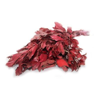 Imagem de Carne De Vaca Vermelho Desidratado - Tem Flores