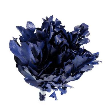 Imagem de Carne de Vaca / Carvalho Azul - Tem Flores