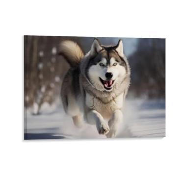 Imagem de HouLaiZhe Pôster de animal lobo engraçado correndo bonito lona parede estética pôsteres decoração de sala de parede impressões galeria sala decoração de parede para quarto sala de estar escritório 24