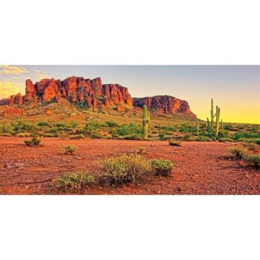Imagem de AWERT Fundo de habitat de répteis de 182,88 x 45,72 cm Céu Oásis Montanha Cacto Sol e Deserto Fundo de Terrário Fundo de Poliéster Durável