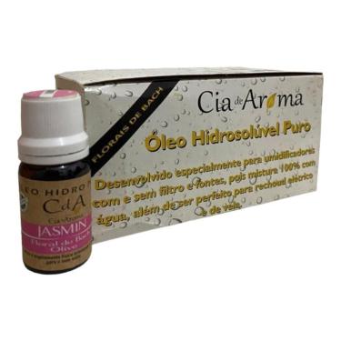 Imagem de Kit Box 10 Óleos Hidrossolúvel 10Ml - Escolha O Seu Aroma