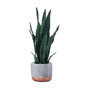 Imagem de Mikasa Planta de cobra em vaso de mármore cinza falso para banheiro, casa de fazenda, vegetação falsa, mesa, decoração de cozinha, 45 cm