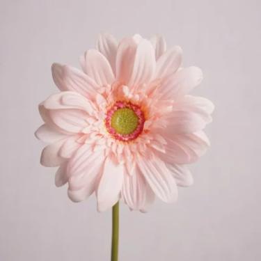 Imagem de 5 peças de flores artificiais hidratantes de gerbera com toque real, decoração para casamento, buquê de noiva, festa, decoração floral para casa, girassol (gerbera rosa claro)