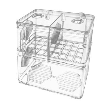 Imagem de Bothyi Caixa de criação de peixes de aquário com divisória transparente, ideal para criação e incubação de peixes-palhaço.