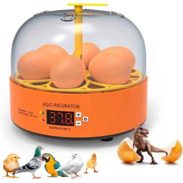Imagem de Mini Chocadeira Incubadora Lorben Bivolt Semiautomática até 6 Ovos Gal