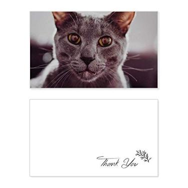 Imagem de Fotografia de gato cinza olho grande animal, cartão de agradecimento, papel de aniversário, agradecimento de casamento