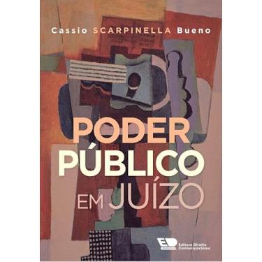 Imagem de PODER PÚBLICO EM JUÍZO