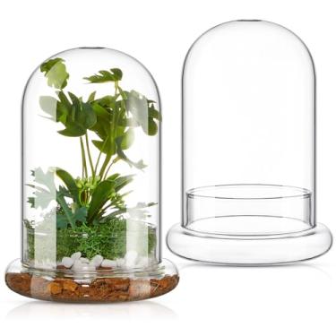Imagem de Perthlin 2 peças de vidro transparente para terrário de 15 x 19 cm, cloche de cúpula de vidro com orifício de ar e base para plantas, flores, casa, mesa, mesa, centro de mesa, plantas não incluídas