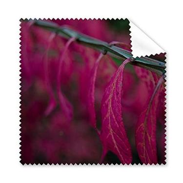 Imagem de Pano de limpeza para fotografia Red Nature limpador de óculos 5 peças