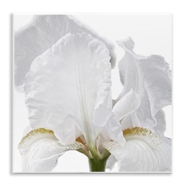 Imagem de Stupell Industries White Iris Close Up Wall Plaque Art Design por Nan, 12 x 12