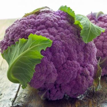 Imagem de Couve Flor Filipinas/ Couve Flor Roxa - 3gr de Sementes - FELTRIN SEME