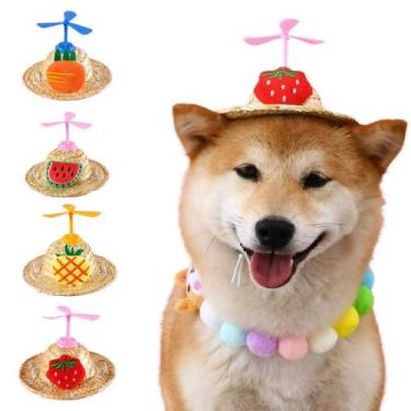 Imagem de Chapéu palha cães e gatos com helice e frutas e cor sortida - KAO E GA