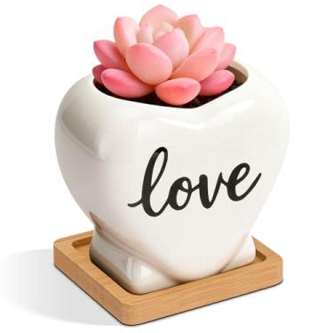 Imagem de T4U Vasos de flores de cacto suculento para amantes