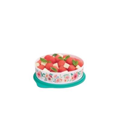 Imagem de Tupperware Tupper Pratinho 500ml, Aquarela