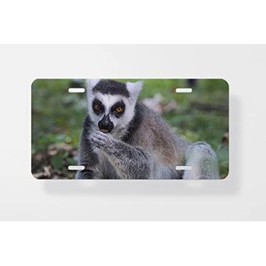Imagem de Capa para placa de carro com lêmure e catta comendo – Capa para placa de carro – Capa para placa de carro 15 x 30 cm