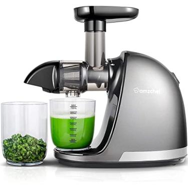 Imagem de Espremedor de suco de mastigação lenta, máquina profissional de espremedor a frio, processador lento com motor silencioso/função reversa, máquinas de suco com escova, para frutas e vegetais de alto teor de nutrientes (atualizado)
