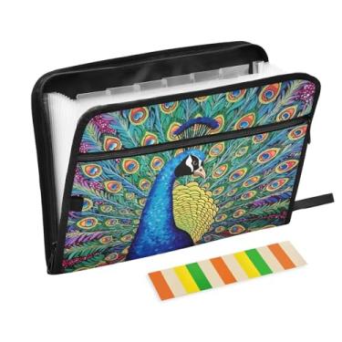 Imagem de Wassud Peacock Organizador de arquivos sanfonado com 13 bolsos, pastas expansíveis com abas e adesivos, organizador de pastas de documentos de recibo de papel tamanho carta A4 para viagens de