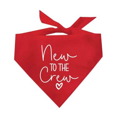 Imagem de New to The Crew Bandana triangular para cães (cores sortidas)