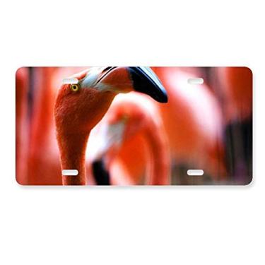 Imagem de DIYthinker Organismo Terrestre Flamingo Animal Selvagem Placa Decoração Aço Inoxidável Automóvel