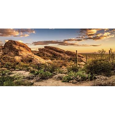 Imagem de Yeele 4,5 x 2,4 m Desolate Desert Fotografia Fundo Reforçado Rock Cactus Plantas Pôr do Sol Natureza Pano de Fundo Tanque de Peixes Decoração Viagem Caminhada Aventura Caubói Ocidental Retrato Foto Cabine Tiro