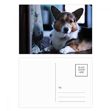 Imagem de Corgi Dog Pet Animal Lonely conjunto de cartões postais de aniversário para enviar cartões de agradecimento