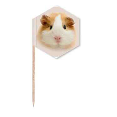 Imagem de Hamster Pet cabelo marrom art déco, presente moderno palito de dente bandeiras de cupcake palitos festa celebração