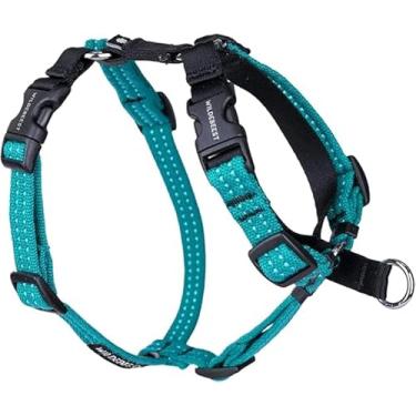Imagem de Peitoral para cães Valencia - turquesa grande