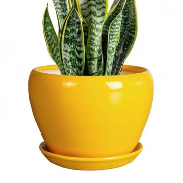 Imagem de Ceramicfor Vaso de 20 cm – Vaso de cerâmica redondo moderno esmaltado para plantas internas e externas com orifício de drenagem e pires para decoração de casa, pátio, quarto, escritório, amarelo