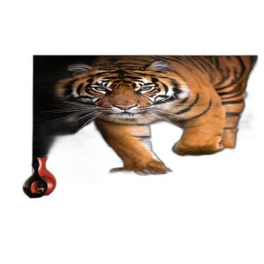 Imagem de Papel De Parede Animais Tigre Campo Sol Andar 3,5M Anm564 - Você Decor