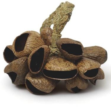 Imagem de GMP Pangi Seed Shell Shaker/Nutshell efeito sonoro de percussão, vem com cabo de corda/cabo de bambu, chocalho tradicional autêntico (natural)